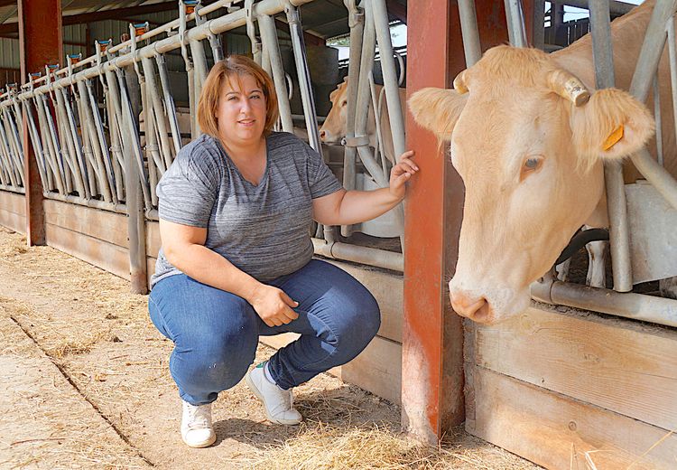 FILIERE BOVINE – Le Basque Lur Berri reprend le Gersois Alliance Occitane